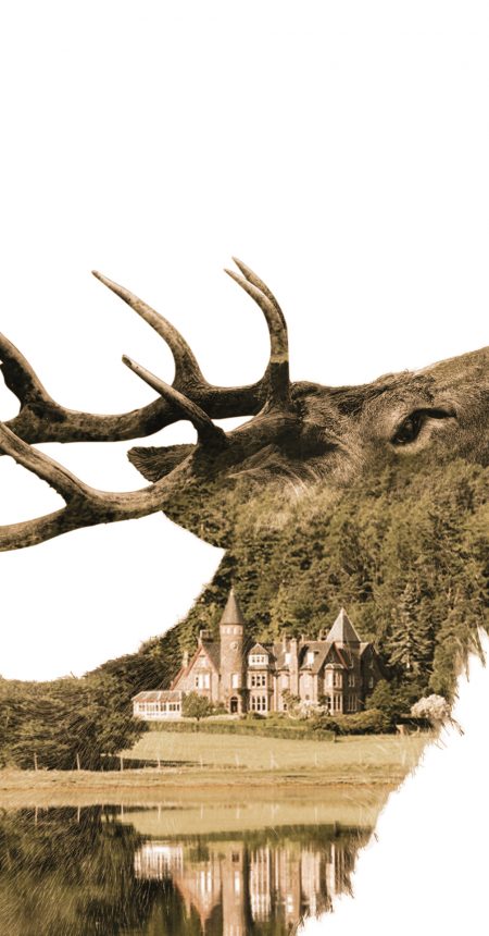 The Torridon Conceptual Adverts